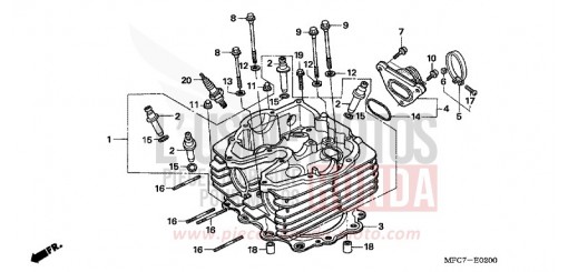 CYLINDER HEAD FMX6505 de 2005